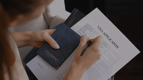 Заграничный паспорт с визой — документы для иностранных граждан